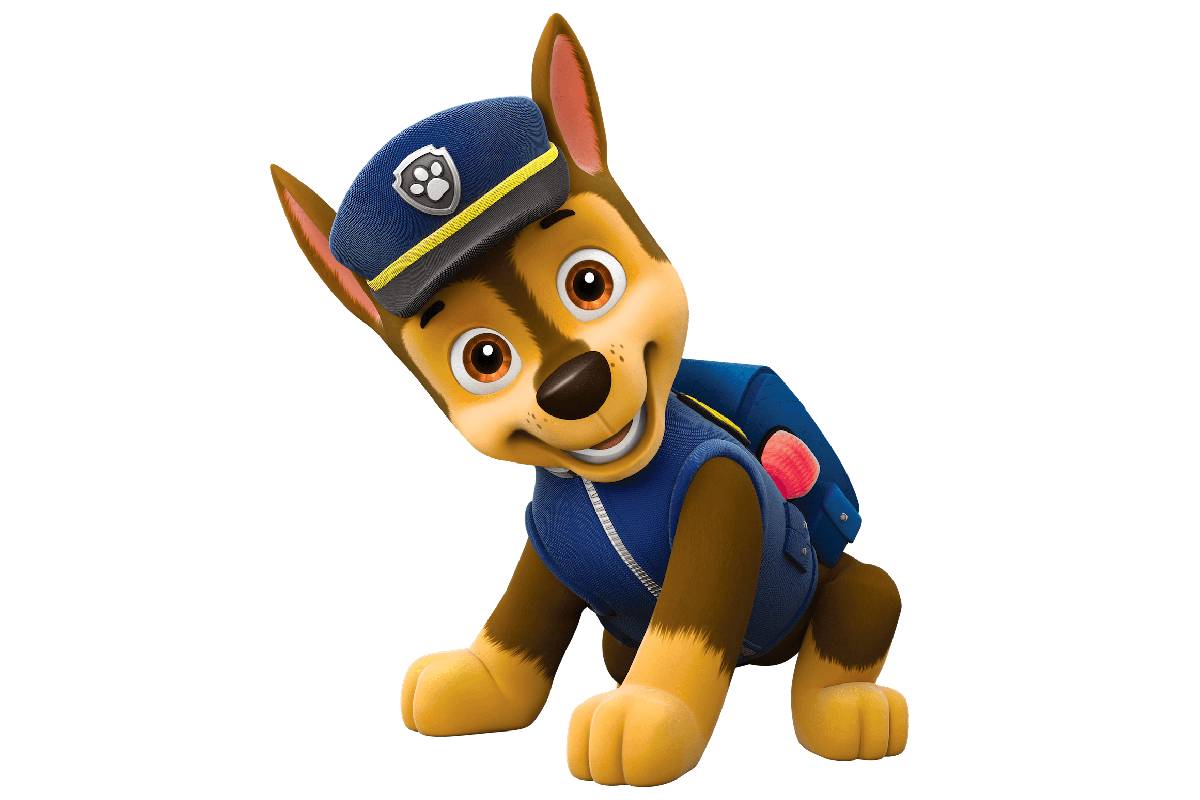 Paw patrol store dog names